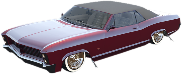 Albany Buccaneer Rider